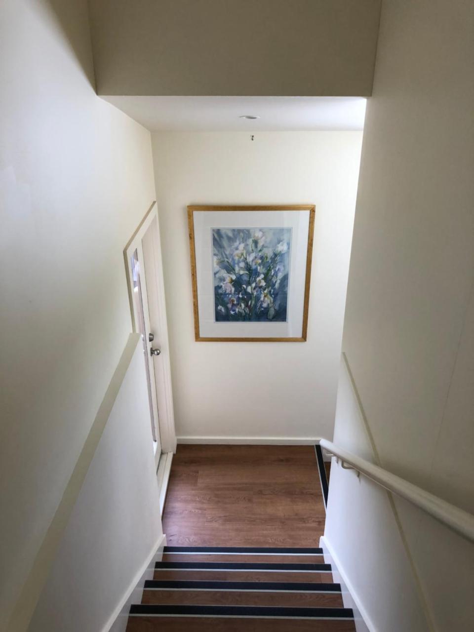 Freycinet Beach House コールズ・ベイ エクステリア 写真